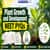 Plant Growth and Development NEET PYQs